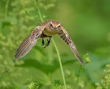 开云登录-包含訂??K?增Q踣俣h勣??=鵖WB"g}M>V的词条