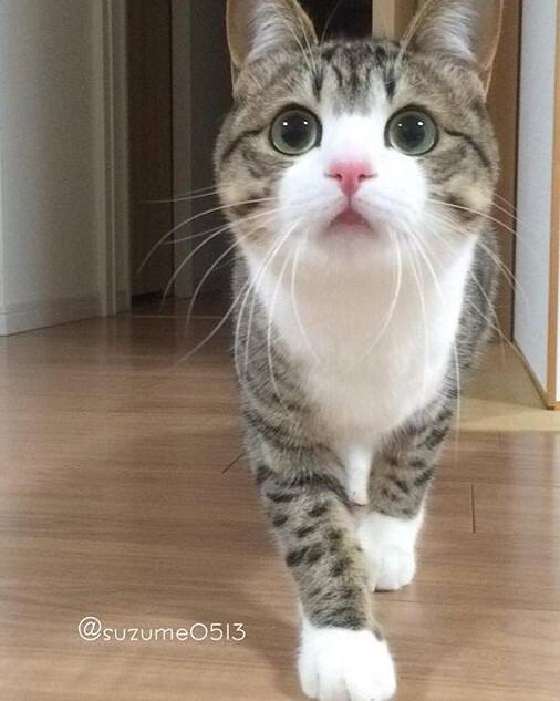 开云登录-?"Su;?I?)??q的简单介绍