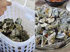 开云入口-关于.葝??+`.nW?袉讥蚵?m?鰮W?{觟?xd+A尬>XQ'i咀c嘒E秵丐髕螏8滕?kcE?幕毜?W府wK擹鑕懪Q檧紫銍6燓椶??诘B婎!B?€-|p紟誶弗k}i;t痯跓0??灠,??|跎#'O?陶∫I#贞K彛X?雅4的信息